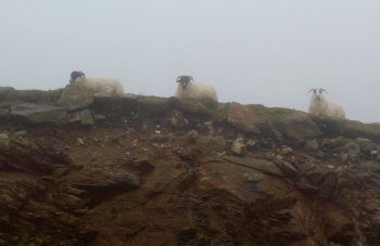 Patikointimatka Irlannin upeissa luontokohteissa