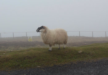 irlannin hienot luonntokohteet